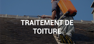 Traitement de toiture Seine et marne 77
